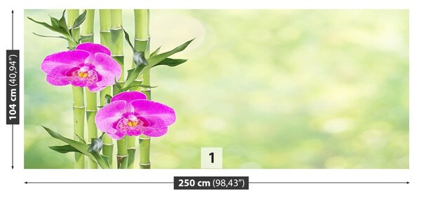 Fototapet Orchid și lemn de bambus