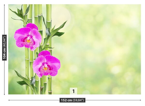 Fototapet Orchid și lemn de bambus