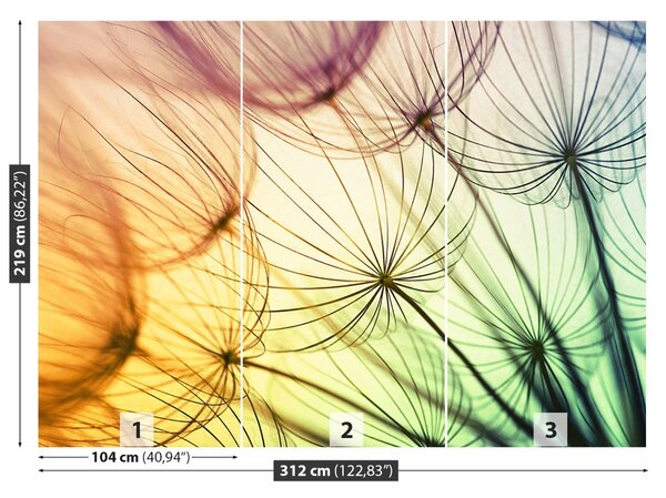 Fototapet Păpădie colorat