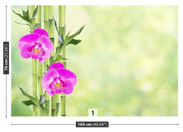 Fototapet Orchid și lemn de bambus