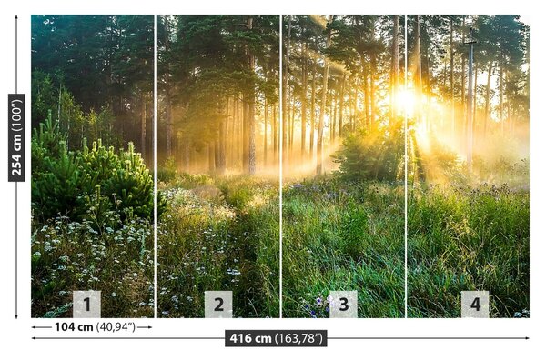 Fototapet pădure
