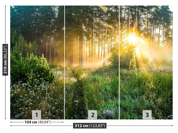 Fototapet pădure