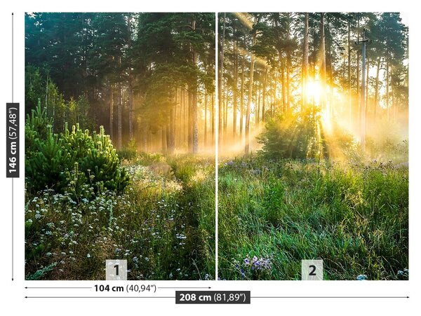 Fototapet pădure