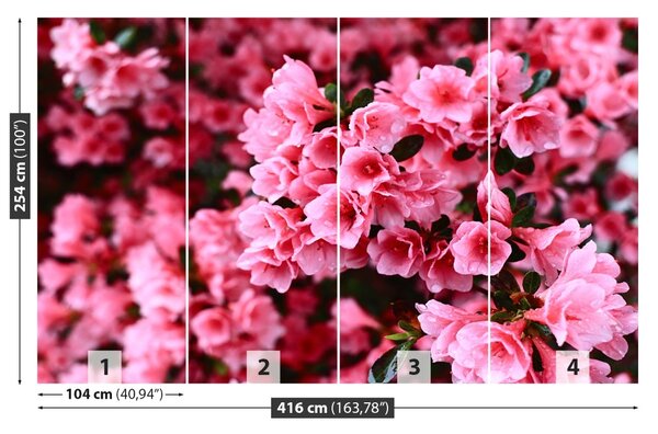 Fototapet roz Rhododendron
