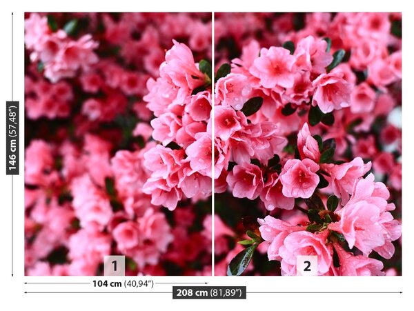 Fototapet roz Rhododendron