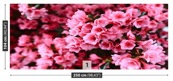 Fototapet roz Rhododendron