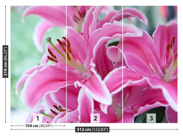 Fototapet Pink Lily