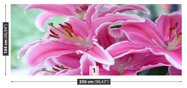 Fototapet Pink Lily