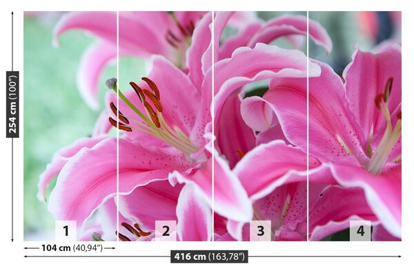 Fototapet Pink Lily