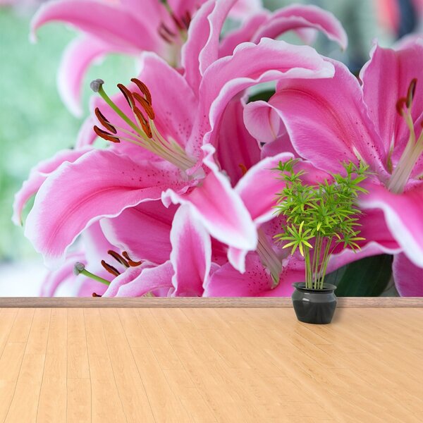 Fototapet Pink Lily