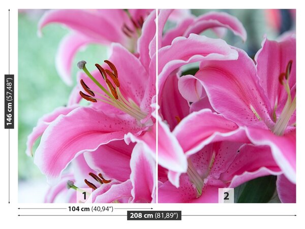 Fototapet Pink Lily