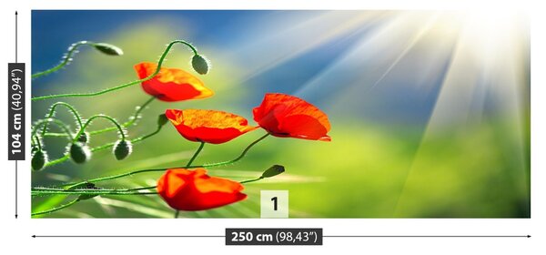 Fototapet Soare și Maci
