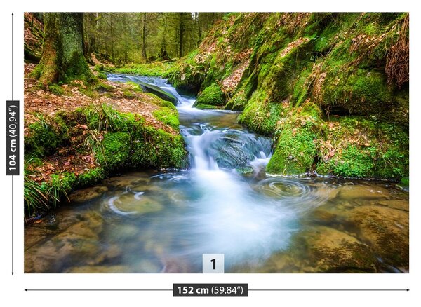 Fototapet Forest Stream