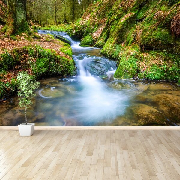 Fototapet Forest Stream