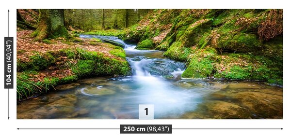 Fototapet Forest Stream