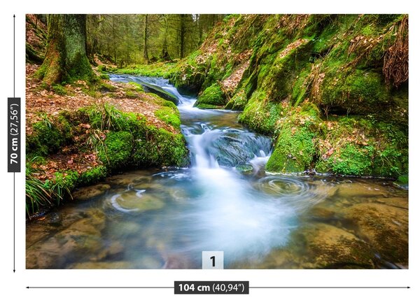 Fototapet Forest Stream