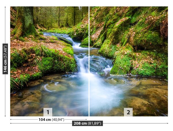 Fototapet Forest Stream