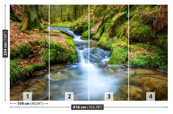 Fototapet Forest Stream