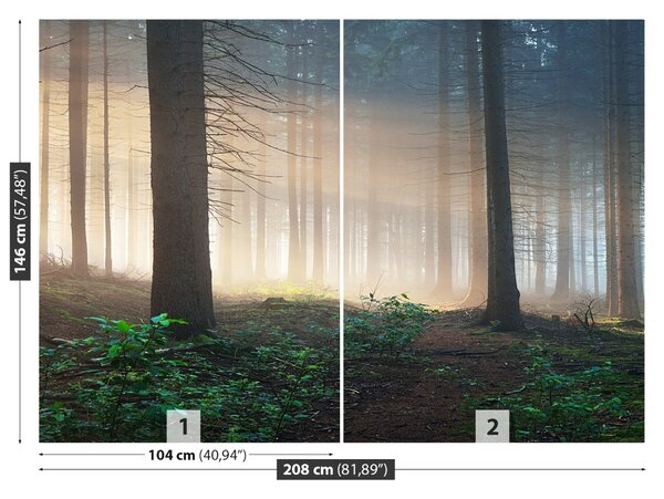 Fototapet Lumina soarelui