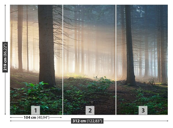 Fototapet Lumina soarelui