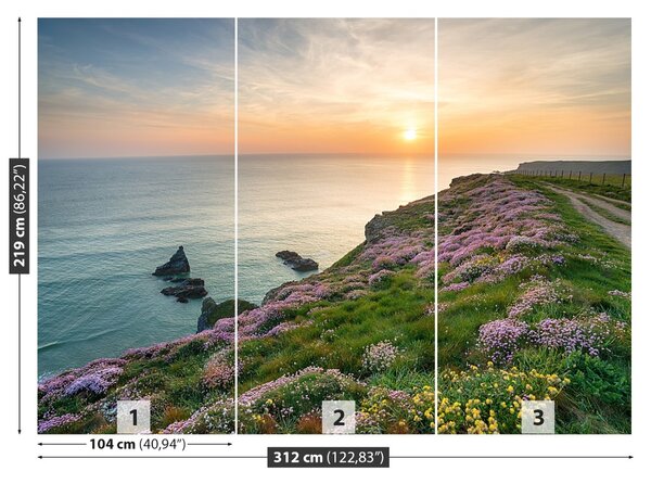 Fototapet Coasta de Cornwall