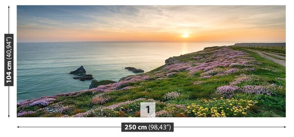 Fototapet Coasta de Cornwall