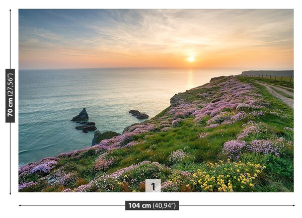 Fototapet Coasta de Cornwall