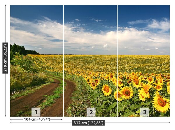 Fototapet Domeniu de Sunflowers
