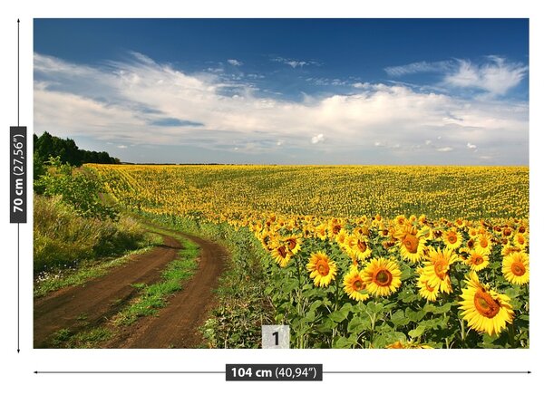 Fototapet Domeniu de Sunflowers
