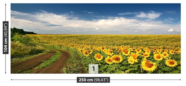 Fototapet Domeniu de Sunflowers