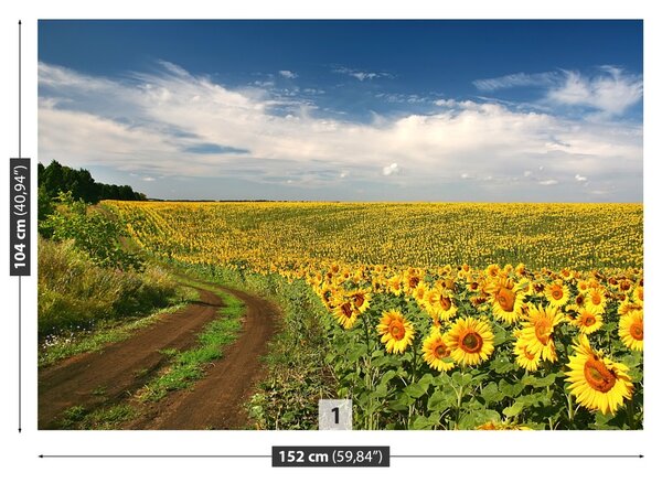 Fototapet Domeniu de Sunflowers