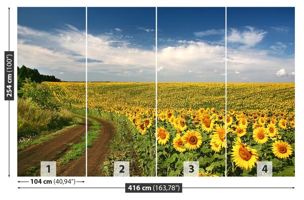 Fototapet Domeniu de Sunflowers