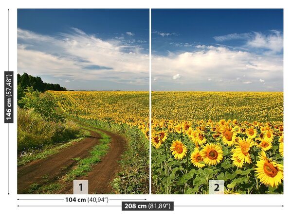 Fototapet Domeniu de Sunflowers