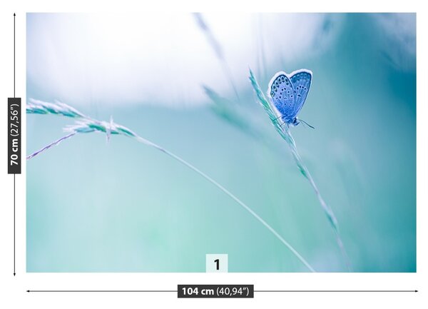 Fototapet Butterfly Iarbă