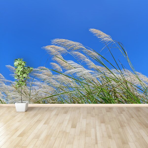 Fototapet Albastru Grass