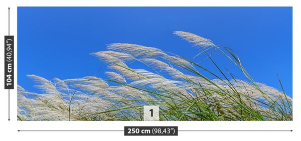 Fototapet Albastru Grass