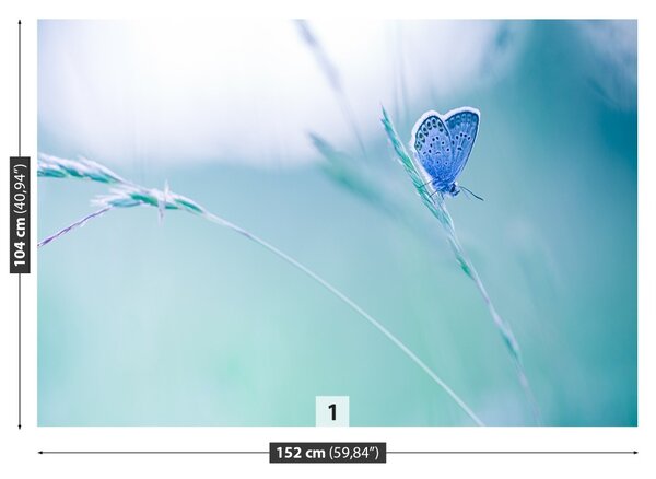 Fototapet Butterfly Iarbă