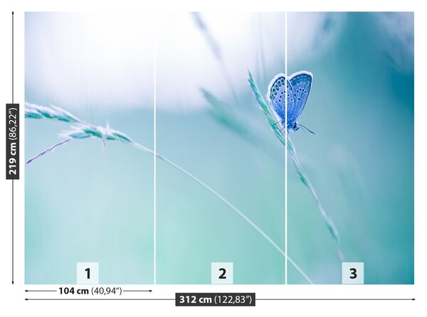 Fototapet Butterfly Iarbă