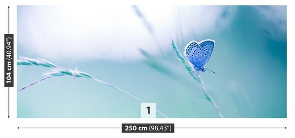 Fototapet Butterfly Iarbă