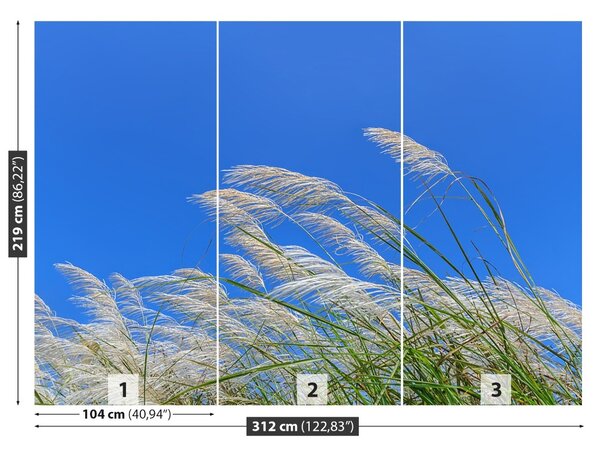 Fototapet Albastru Grass