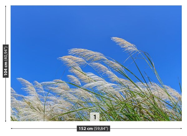 Fototapet Albastru Grass