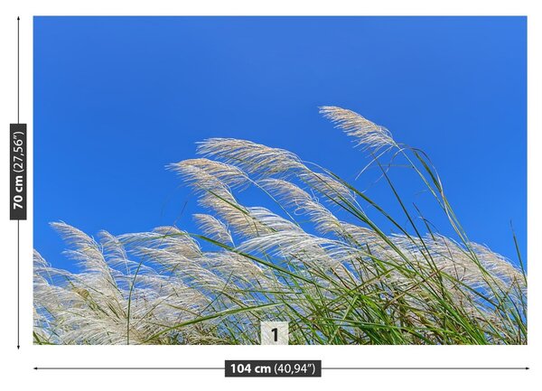 Fototapet Albastru Grass