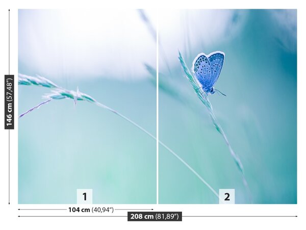 Fototapet Butterfly Iarbă
