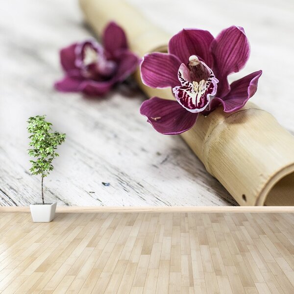 Fototapet Orchid lemn