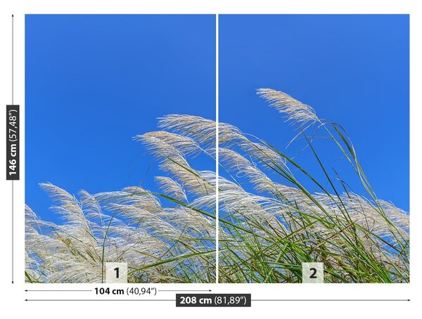 Fototapet Albastru Grass