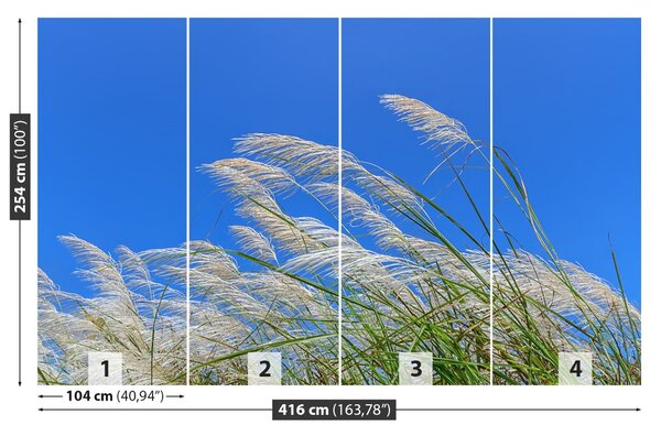 Fototapet Albastru Grass