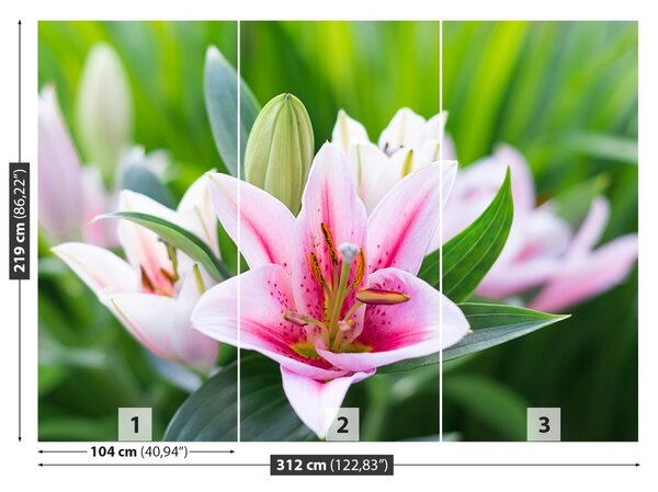 Fototapet Green Lily