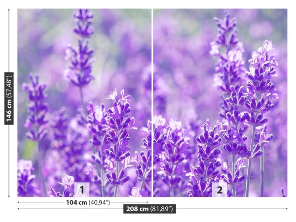 Fototapet Lavandă Purple