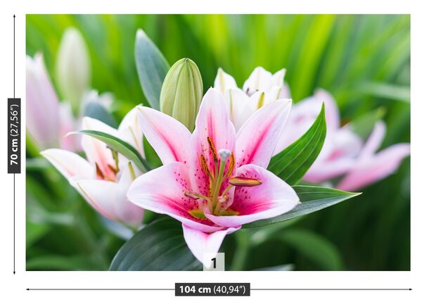 Fototapet Green Lily