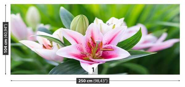 Fototapet Green Lily